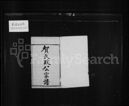 湖南贺氏族谱-贺氏政公宗谱 [14卷,首3卷].pdf电子版插图3