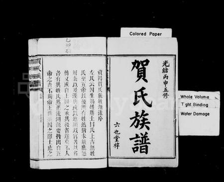 湖南贺氏族谱-贺氏族谱 [12卷,首1卷,末2卷].pdf电子版插图2