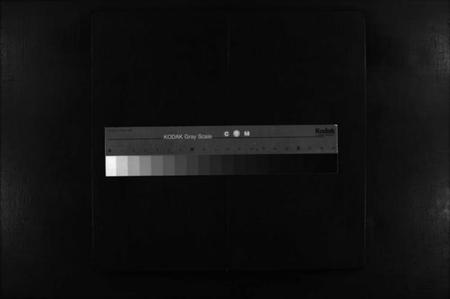 湖南贺氏族谱-贺氏族谱 [不分卷].pdf电子版