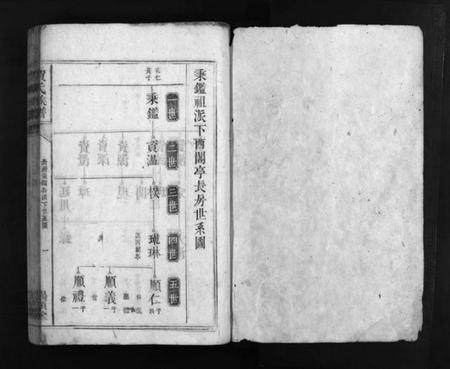 湖南贺氏族谱-贺氏族谱 [不分卷].pdf电子版插图2