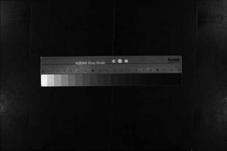 湖南贺氏族谱-贺氏族谱 [诚房25卷,信房9卷,祚房4卷,首6卷].pdf电子版