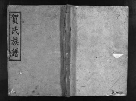 湖南贺氏族谱-贺氏族谱 [诚房25卷,信房9卷,祚房4卷,首6卷].pdf电子版插图1