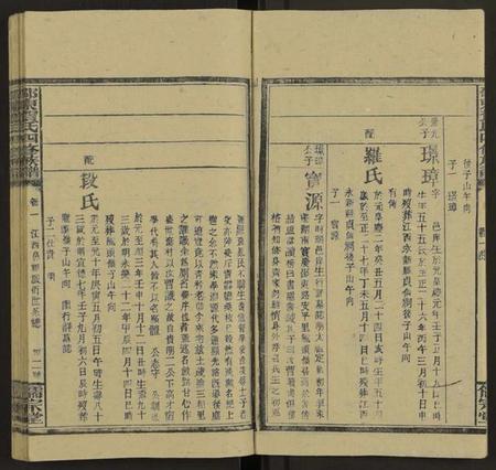 湖南贺氏族谱-邵东贺氏四修族谱[25卷, 卷首12卷末1].pdf电子版插图3