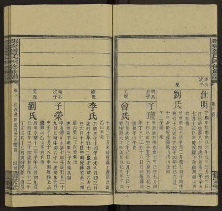 湖南贺氏族谱-邵东贺氏四修族谱[25卷, 卷首12卷末1].pdf电子版插图5