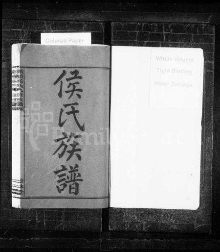 湖南侯氏族谱-侯氏九修族谱 [5卷,首1卷].pdf电子版插图2