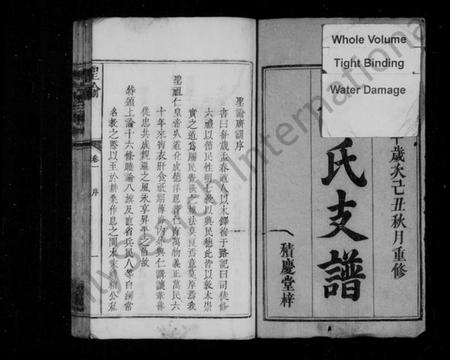 江西邓氏族谱-枫梓邓氏支谱 [4卷].pdf电子版插图3