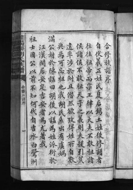 湖南胡氏族谱-桂阳县胡氏族谱 [不分卷].pdf电子版插图3