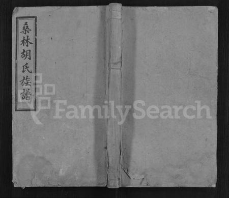 湖南胡氏族谱-桑林胡氏族谱 [16卷,首2卷].pdf电子版