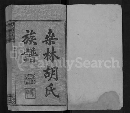 湖南胡氏族谱-桑林胡氏族谱 [16卷,首2卷].pdf电子版插图1