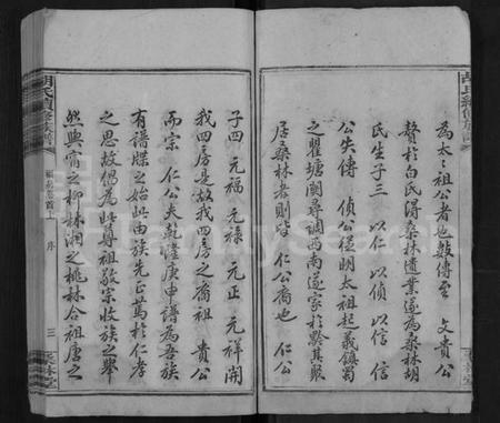 湖南胡氏族谱-桑林胡氏族谱 [16卷,首2卷].pdf电子版插图4