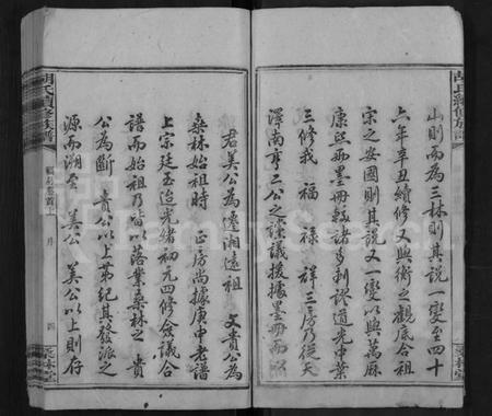 湖南胡氏族谱-桑林胡氏族谱 [16卷,首2卷].pdf电子版插图5