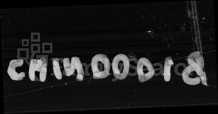 湖南胡氏族谱-机纺胡氏族谱 [13卷,首2卷,末1卷].pdf电子版插图4