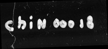 湖南胡氏族谱-浮邱紫陵胡氏五谱 [5卷,首2卷].pdf电子版插图1