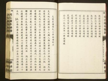 湖南胡氏族谱-湘赣胡氏续修联谱[19卷,首2卷].pdf电子版插图5