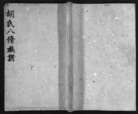 湖南胡氏族谱-胡氏八修族谱 [12卷,首1卷].pdf电子版插图1