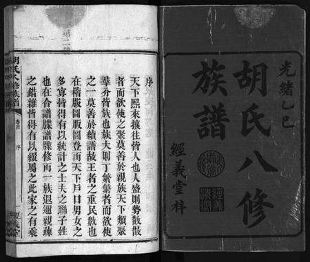 湖南胡氏族谱-胡氏八修族谱 [12卷,首1卷].pdf电子版插图2