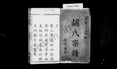 湖南胡氏族谱-胡氏宗谱.pdf电子版插图2