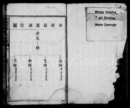 江西丁氏族谱-沙桥丁氏族谱 [12卷].pdf电子版插图2