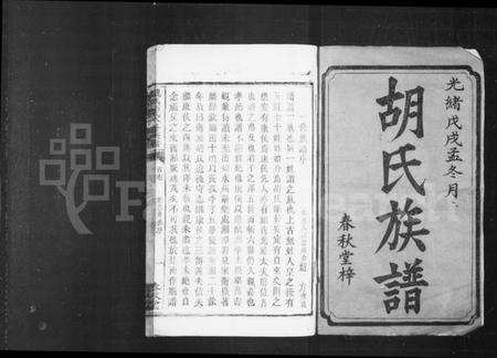 湖南胡氏族谱-胡氏族谱 _ [卷数杂异].pdf电子版插图2