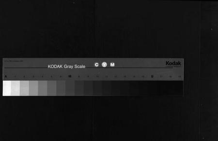 湖南胡氏族谱-胡氏族谱 [10卷,首1卷].pdf电子版