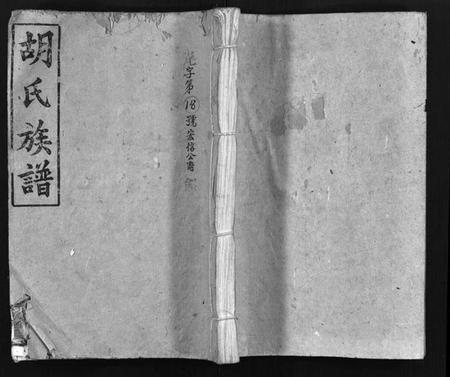 湖南胡氏族谱-胡氏族谱 [10卷,首1卷].pdf电子版插图1