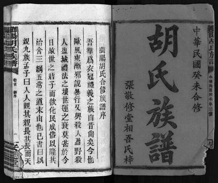 湖南胡氏族谱-胡氏族谱 [10卷,首1卷].pdf电子版插图2