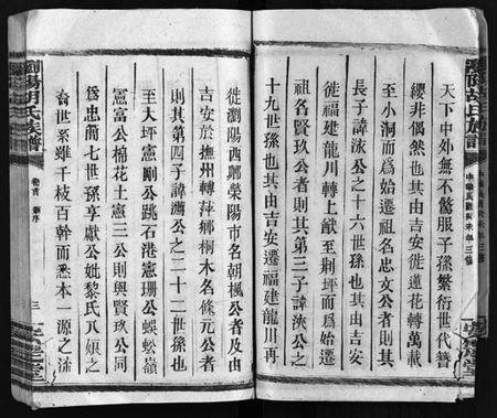 湖南胡氏族谱-胡氏族谱 [10卷,首1卷].pdf电子版插图4