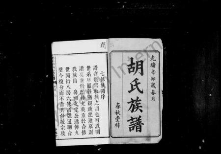 湖南胡氏族谱-胡氏族谱 [12卷,首1卷].pdf电子版插图2