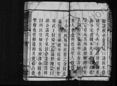 湖南胡氏族谱-胡氏族谱 [5卷,及卷首].pdf电子版插图4