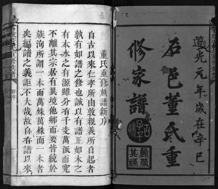 江西董氏族谱-石城董氏重修族谱[残卷].pdf电子版插图2