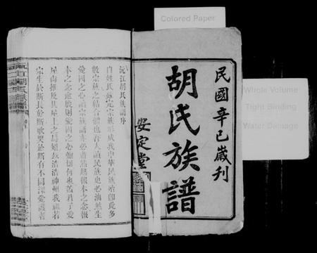 湖南胡氏族谱-胡氏族谱 [8卷,首6卷].pdf电子版插图2