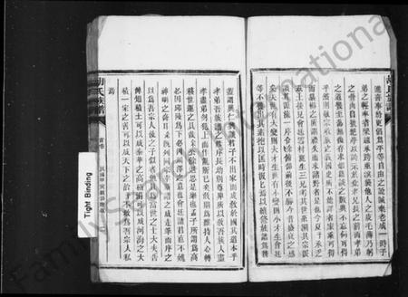 湖南胡氏族谱-胡氏族谱 [9卷].pdf电子版插图4