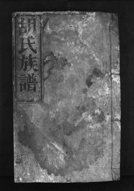 湖南胡氏族谱-胡氏族谱 [不分卷].pdf电子版插图1