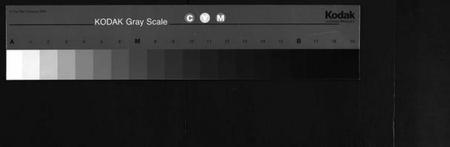 湖南胡氏族谱-胡氏族谱[2册].pdf电子版