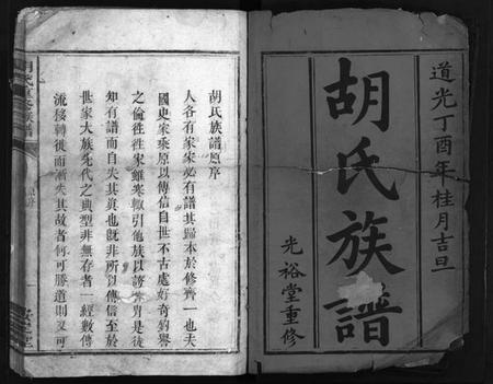 湖南胡氏族谱-胡氏族谱[2册].pdf电子版插图2