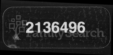 湖南胡氏族谱-郴州兴宁县城南胡氏族谱.pdf电子版