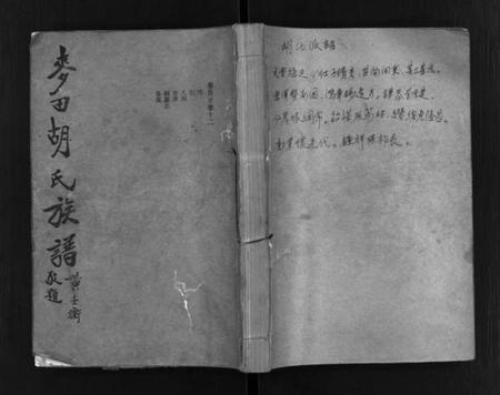 湖南胡氏族谱-麦田胡氏族谱 [20卷,首末各1卷].pdf电子版插图1