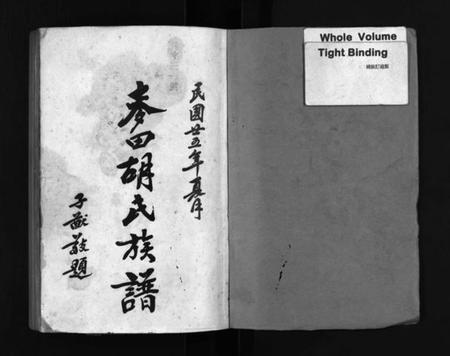 湖南胡氏族谱-麦田胡氏族谱 [20卷,首末各1卷].pdf电子版插图2