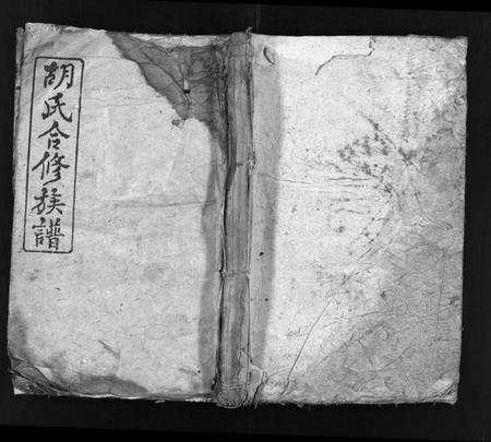 湖南胡氏族谱-胡氏合修族谱 [26卷,首4卷].pdf电子版插图1