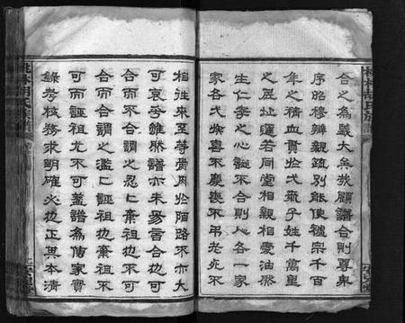 湖南胡氏族谱-胡氏合修族谱 [26卷,首4卷].pdf电子版插图4