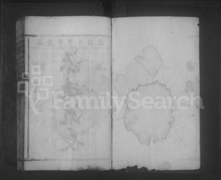 湖南胡氏族谱-桂阳县胡氏族谱 [不分卷].pdf电子版插图1