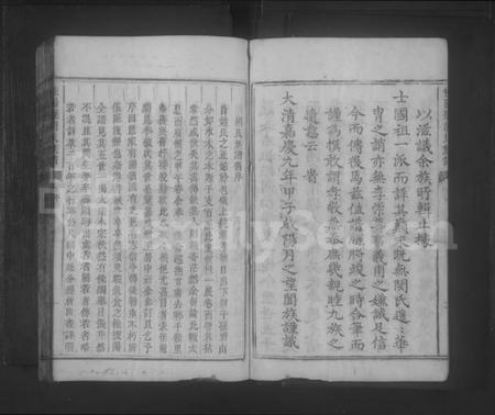 湖南胡氏族谱-桂阳县胡氏族谱 [不分卷].pdf电子版插图4