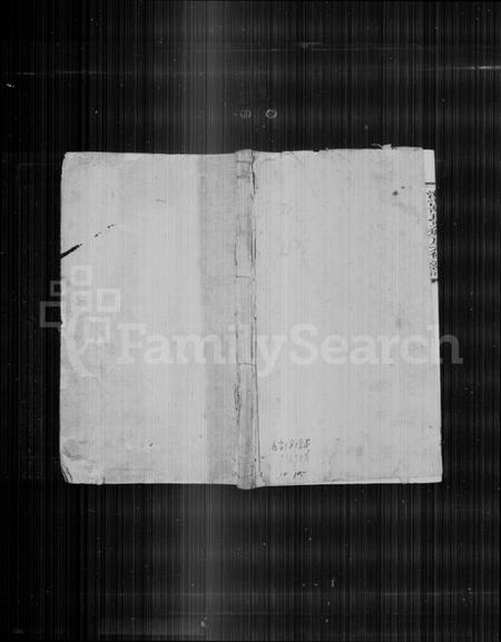 湖南胡氏族谱-栗塘胡氏宗谱 [9卷, 末1卷].pdf电子版插图1