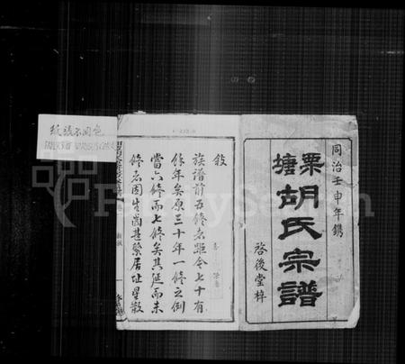 湖南胡氏族谱-栗塘胡氏宗谱 [9卷, 末1卷].pdf电子版插图3