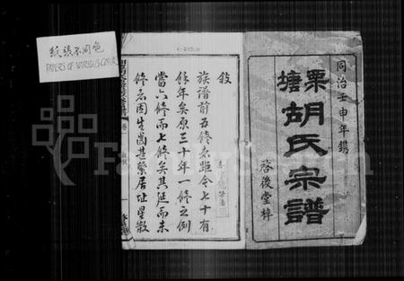 湖南胡氏族谱-栗塘胡氏宗谱 [9卷, 末1卷].pdf电子版插图4