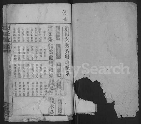 湖南胡氏族谱-胡氏支谱 [4卷,首末各1卷].pdf电子版插图1