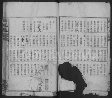 湖南胡氏族谱-胡氏支谱 [4卷,首末各1卷].pdf电子版插图2