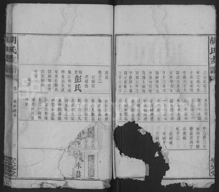 湖南胡氏族谱-胡氏支谱 [4卷,首末各1卷].pdf电子版插图3