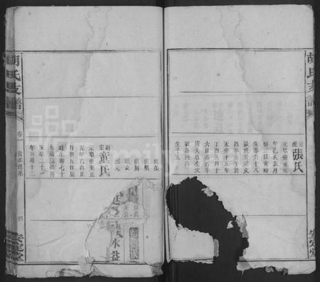 湖南胡氏族谱-胡氏支谱 [4卷,首末各1卷].pdf电子版插图4