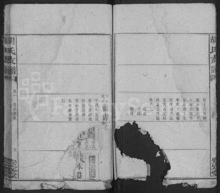 湖南胡氏族谱-胡氏支谱 [4卷,首末各1卷].pdf电子版插图5